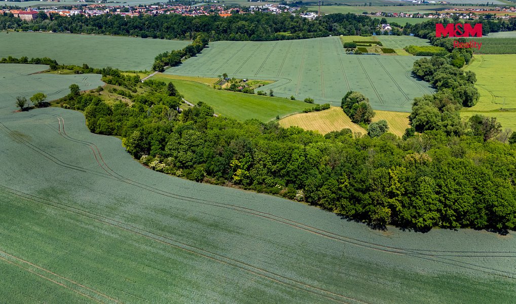 Prodej lesa 49 399 m², Libochovice – náhled fotky 6