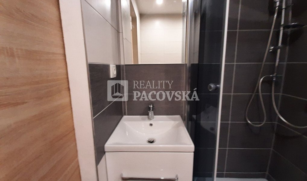 Pronájem bytu 1+kk 21 m², Ústí nad Labem – náhled fotky 7