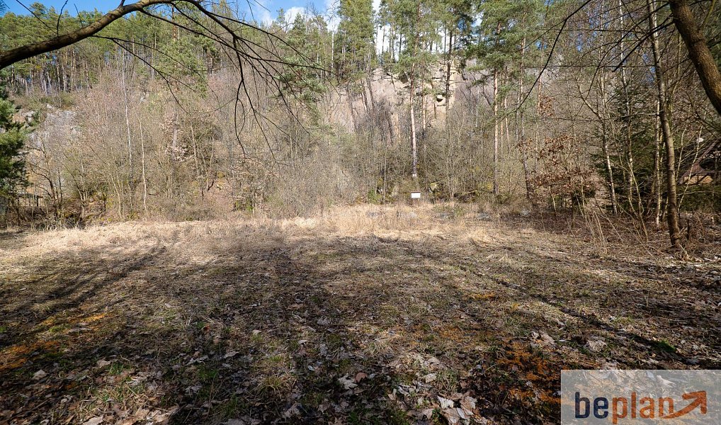 Prodej pozemku 3 297 m², Poříčí nad Sázavou – náhled fotky 5