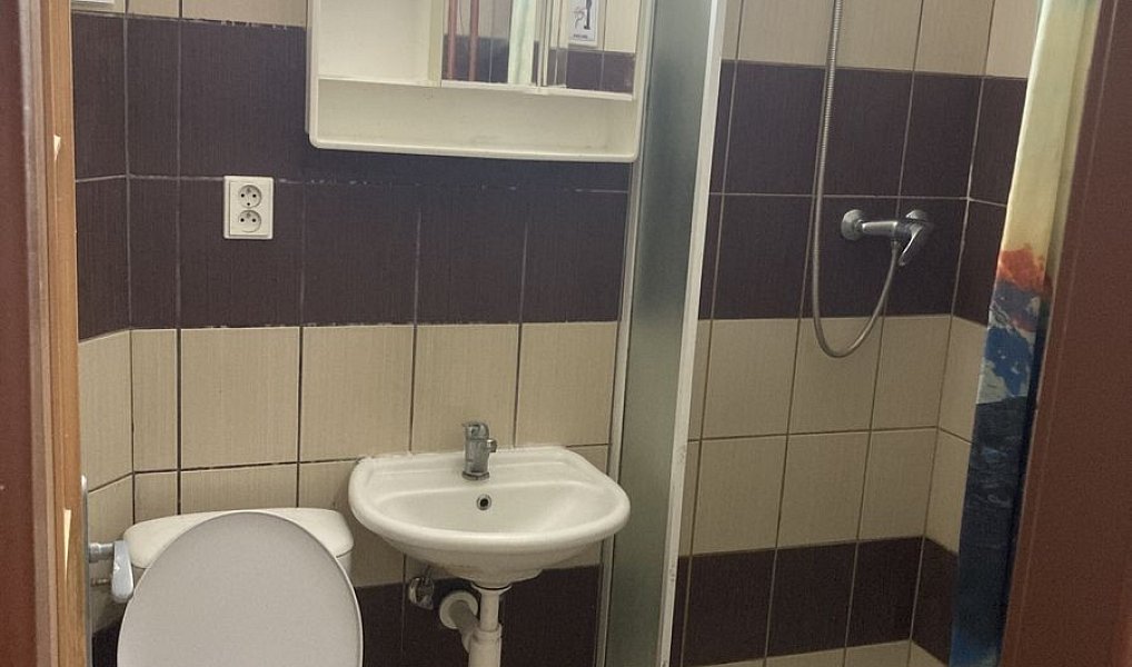 Pronájem pokoje 12 m², Bor – náhled fotky 3