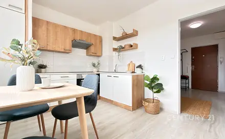 Prodej bytu 1+1 41 m², Stará osada, Brno - Židenice