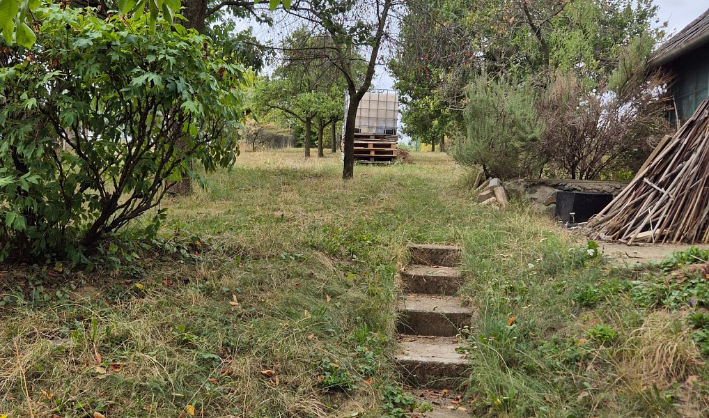 Prodej domu 70 m² s pozemkem 1 811 m², Bukovany – náhled fotky 25