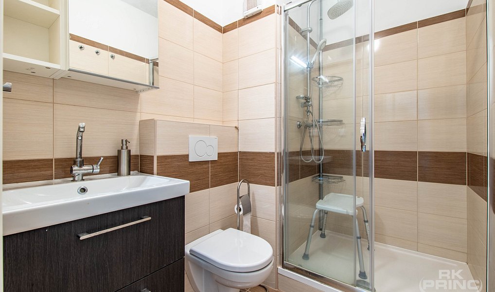 Prodej bytu 1+1 46 m², Praha – náhled fotky 15