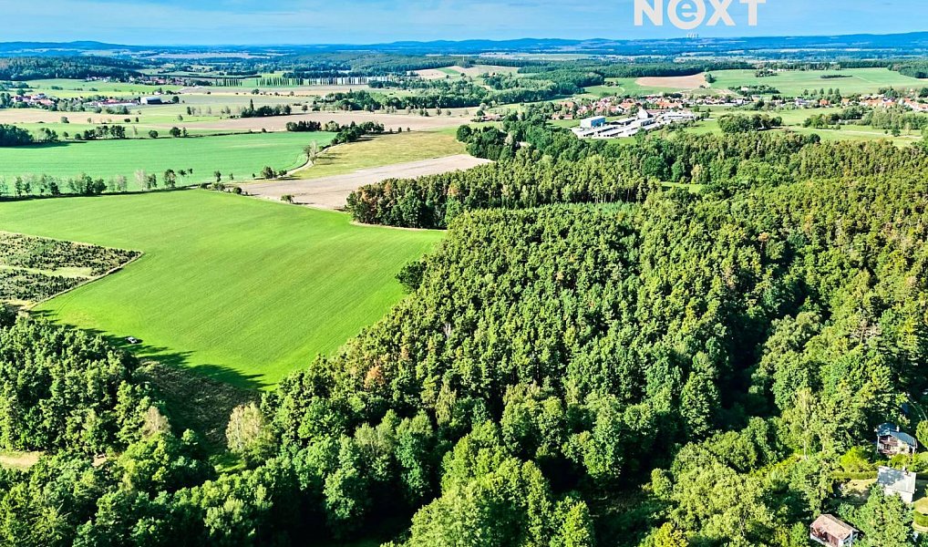 Prodej lesa 13 404 m², Hradce – náhled fotky 9