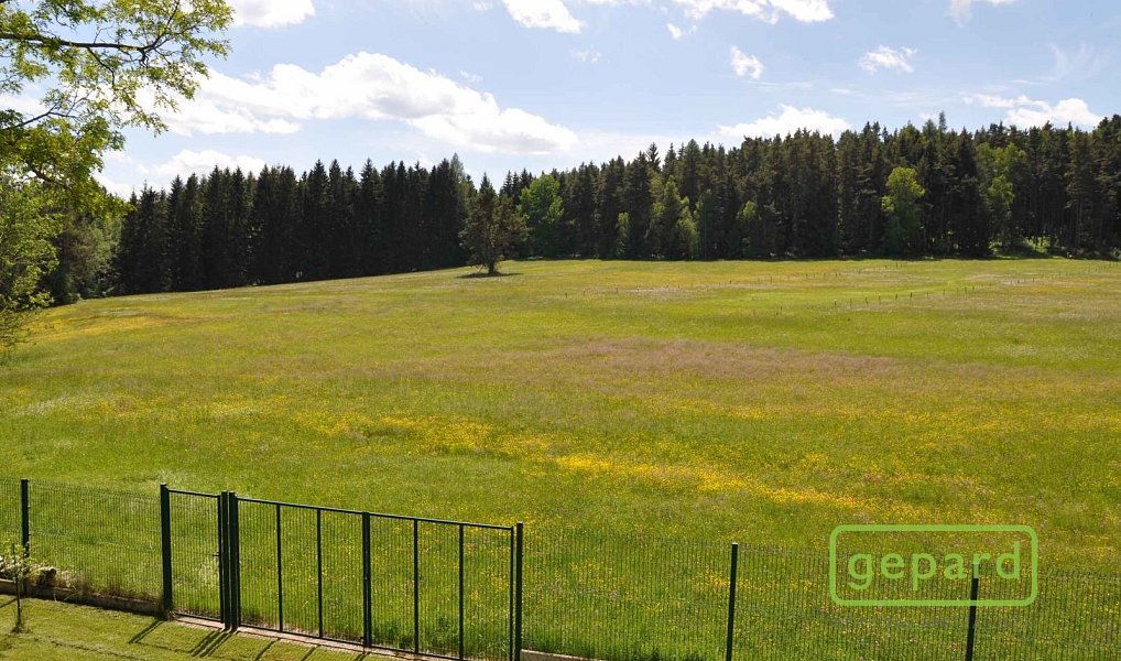 Prodej domu 222 m² s pozemkem 7 330 m², Dvory – náhled fotky 16
