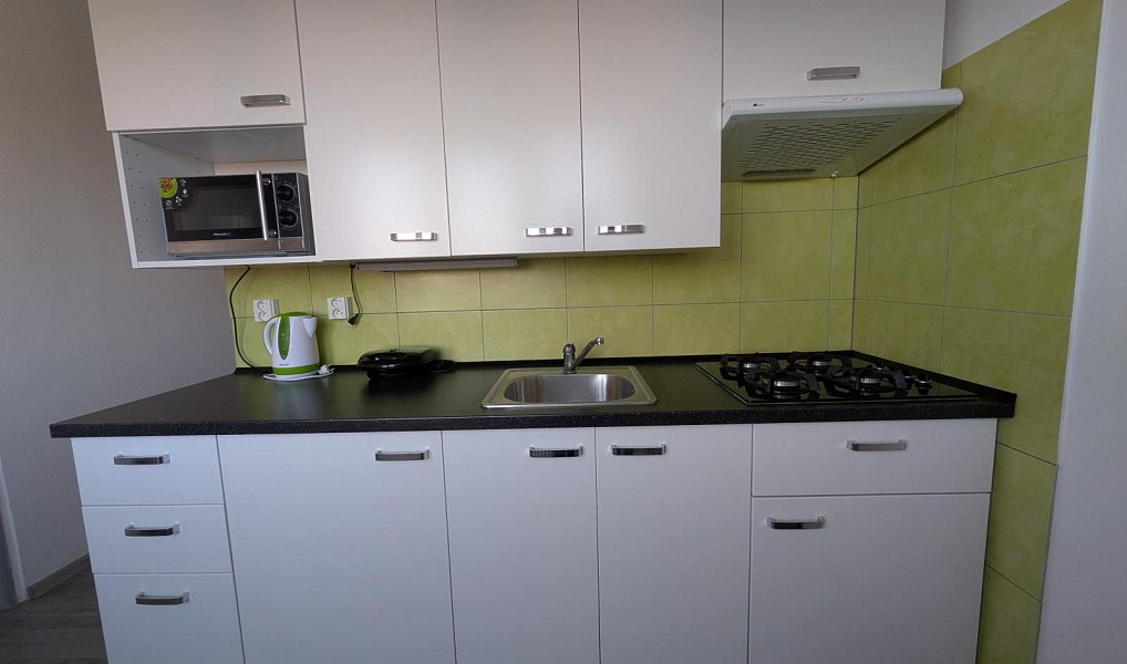 Pronájem bytu 1+1, 36 m², Sokolov, Habartov