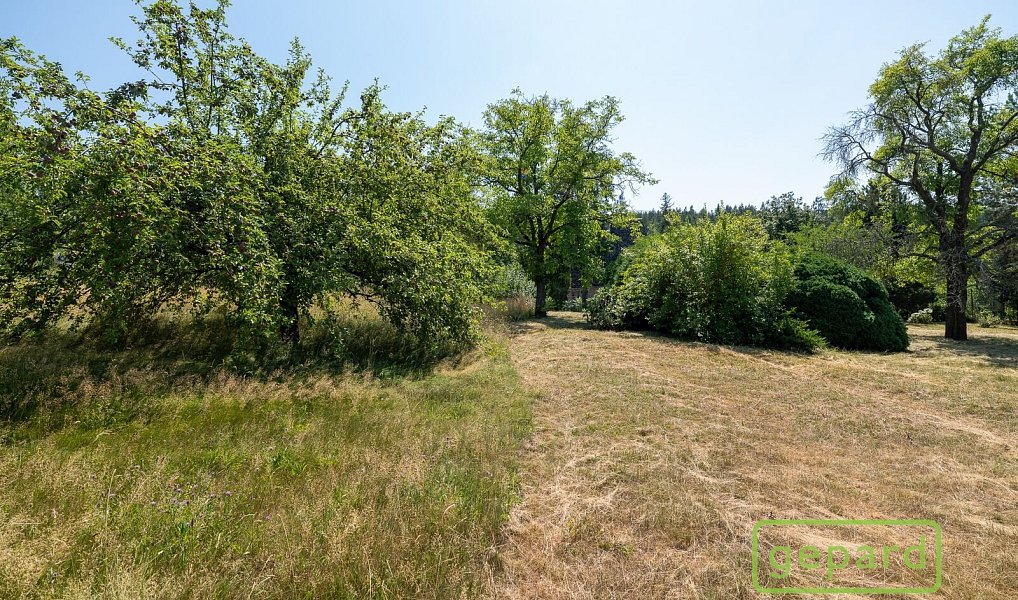 Prodej stavebního pozemku 900 m², Dolany – náhled fotky 8
