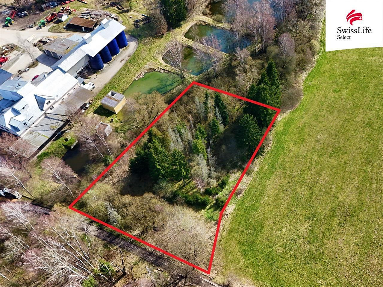 Prodej lesa 4 442 m² – fotografie 3
