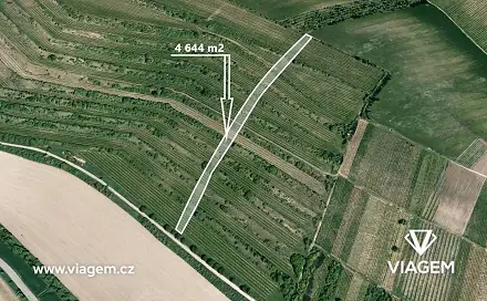 Ostatní