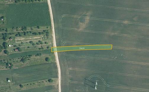 Prodej pole 8 629 m², Kyjov - Nětčice, okres Hodonín