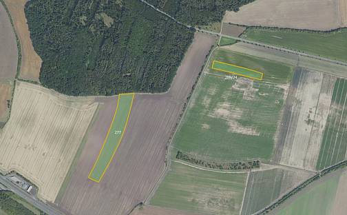 Prodej pole 52 885 m², Velenka, okres Nymburk