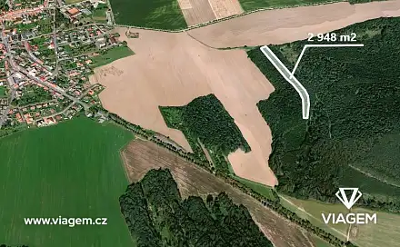 Prodej lesa 859 m², Koloveč, okres Domažlice