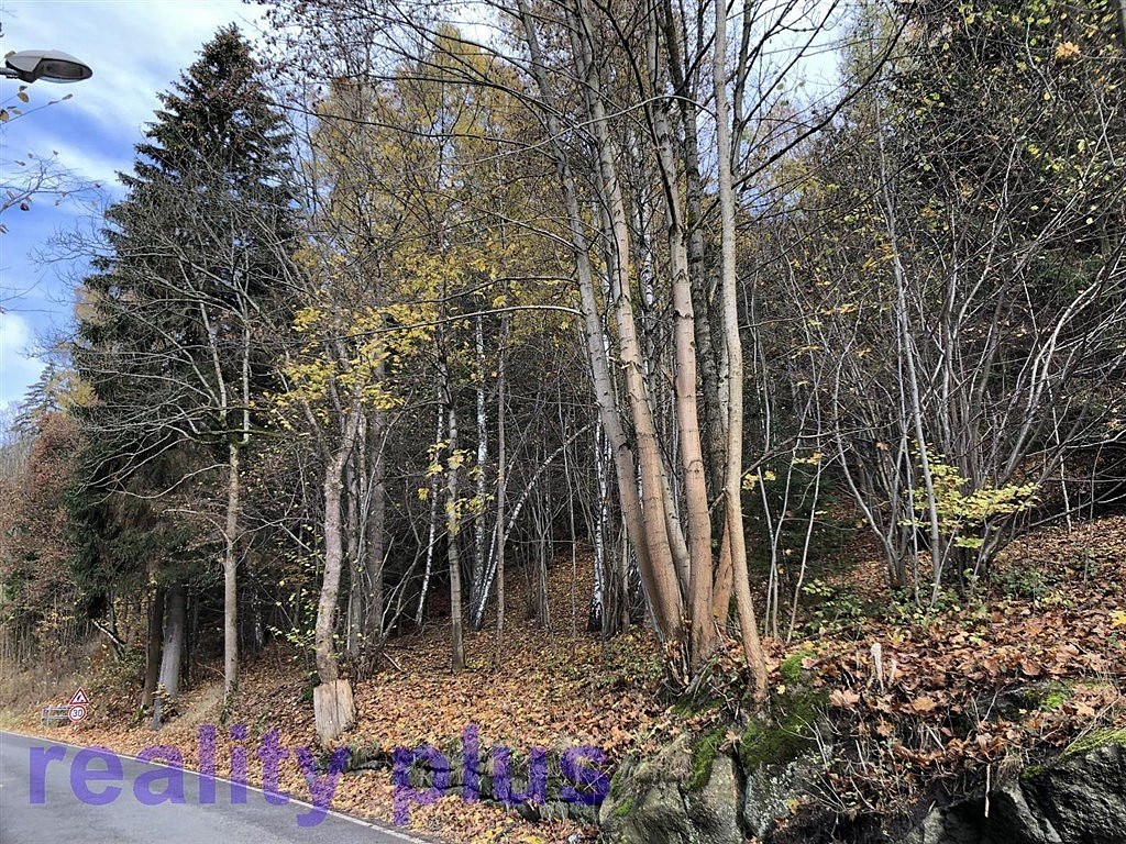 Prodej lesa 4 465 m² – fotografie 2