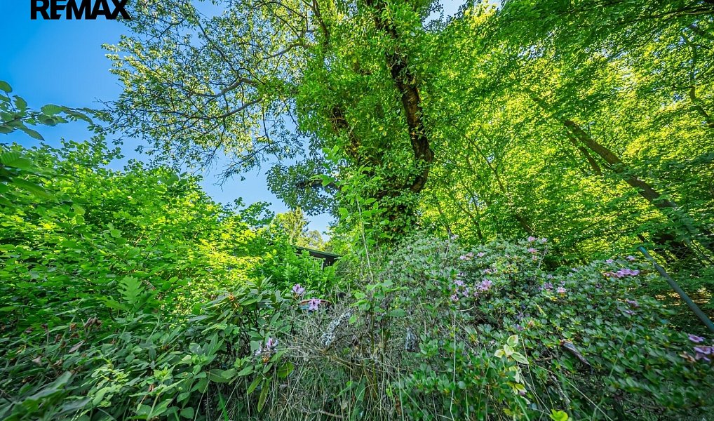 Prodej chaty/chalupy 16 m² s pozemkem 529 m², Nižbor – náhled fotky 18