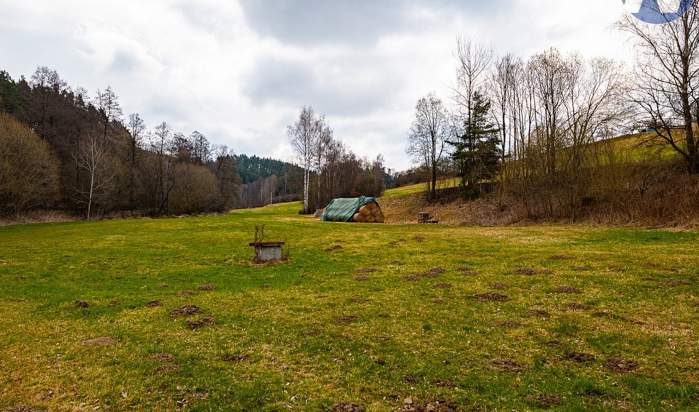 Prodej stavebního pozemku 9 772 m², Bošice – náhled fotky 9