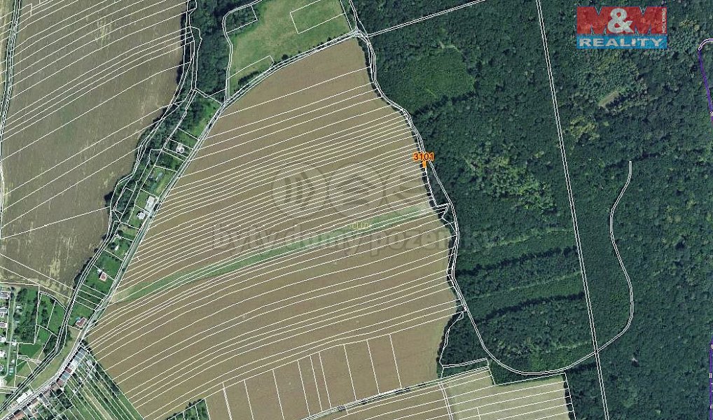 Prodej lesa 25 m², Zborovice – náhled fotky 3