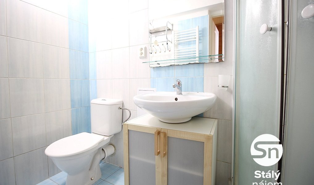 Pronájem bytu 1+1 47 m², Praha – náhled fotky 9