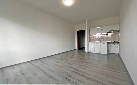 Pronájem bytu 1+kk 25 m², Zdeňka Štěpánka, Ostrava
