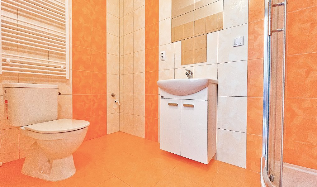 Prodej domu (jiného typu) 226 m² s pozemkem 358 m², Holice – náhled fotky 12