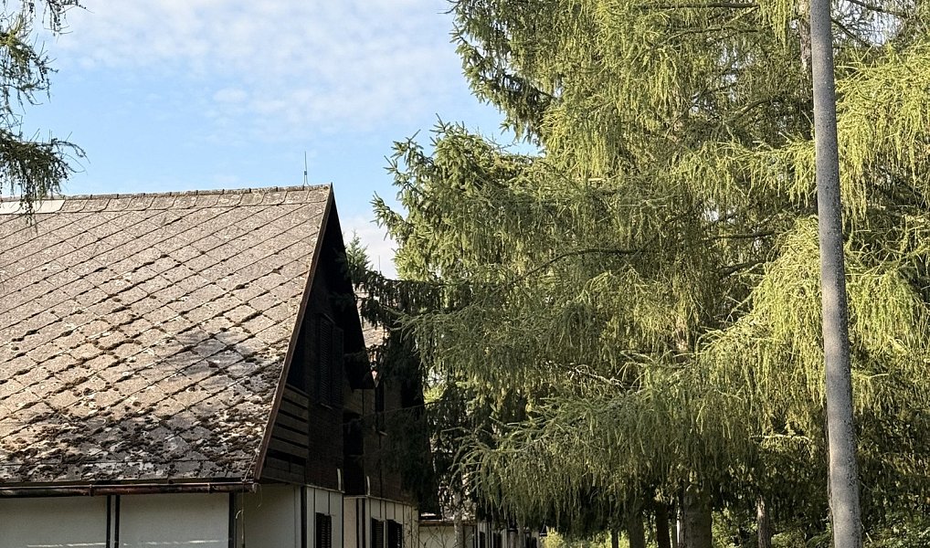 Prodej chaty/chalupy 180 m² s pozemkem 894 m², Račice – náhled fotky 7