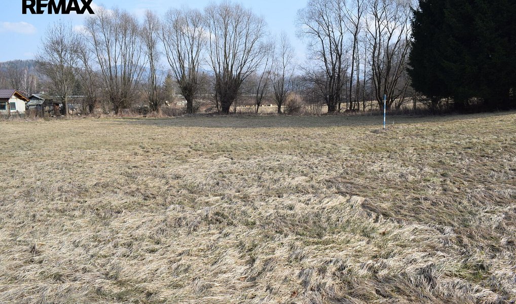 Prodej stavebního pozemku 3 795 m², Lipová-lázně – náhled fotky 8