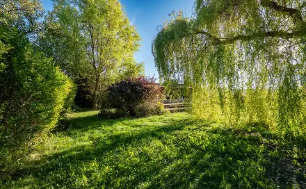 Prodej stavebního pozemku 538 m², Slatiňany, okres Chrudim