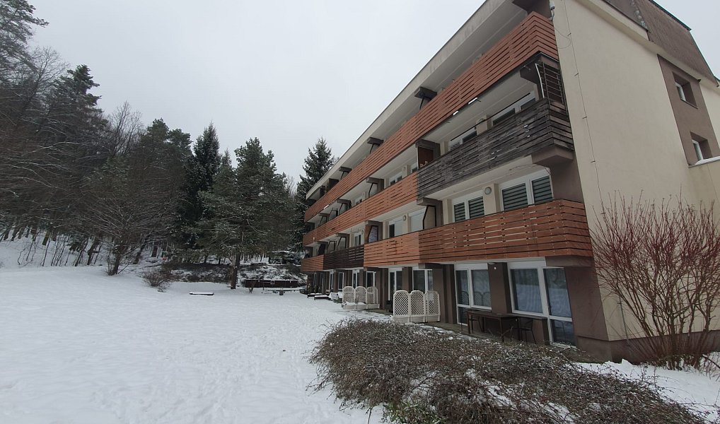 Pronájem bytu 1+kk 20 m², Všemina – náhled fotky 13