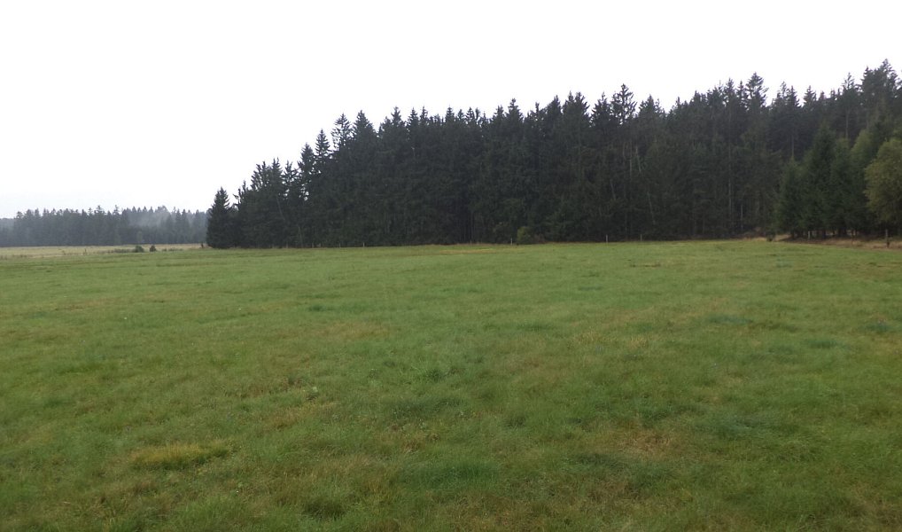 Prodej pozemku 2 593 m², Nová Bystřice – náhled fotky 3