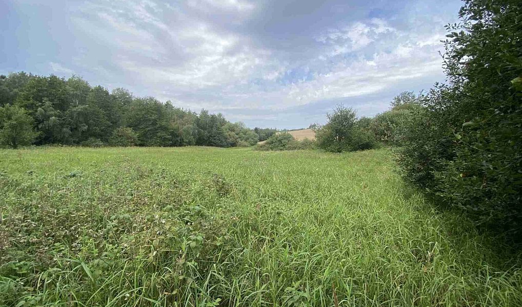 Prodej pozemku 4 446 m², Písečné – náhled fotky 3