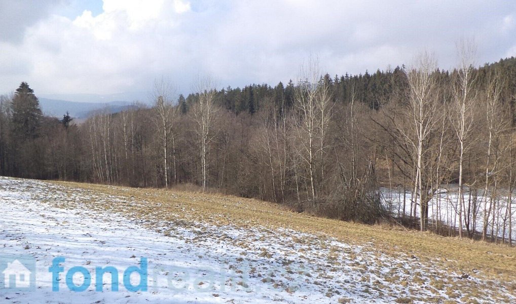 Prodej pozemku 10 344 m², Kájov – náhled fotky 2