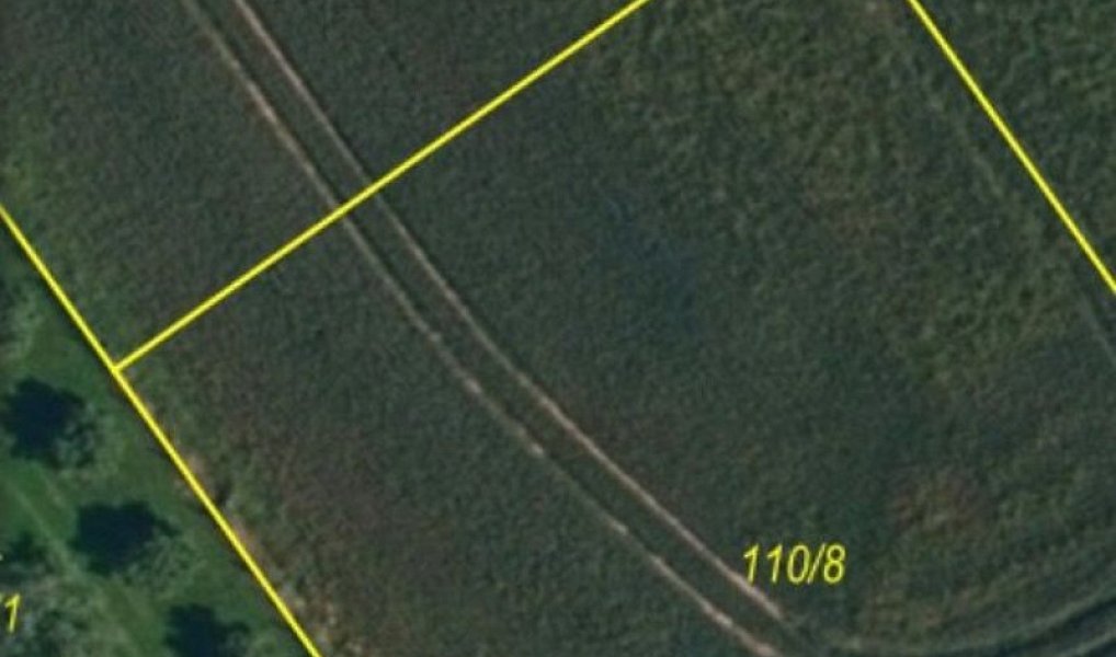 Prodej stavebního pozemku 1 675 m², Nové Syrovice – náhled fotky 3