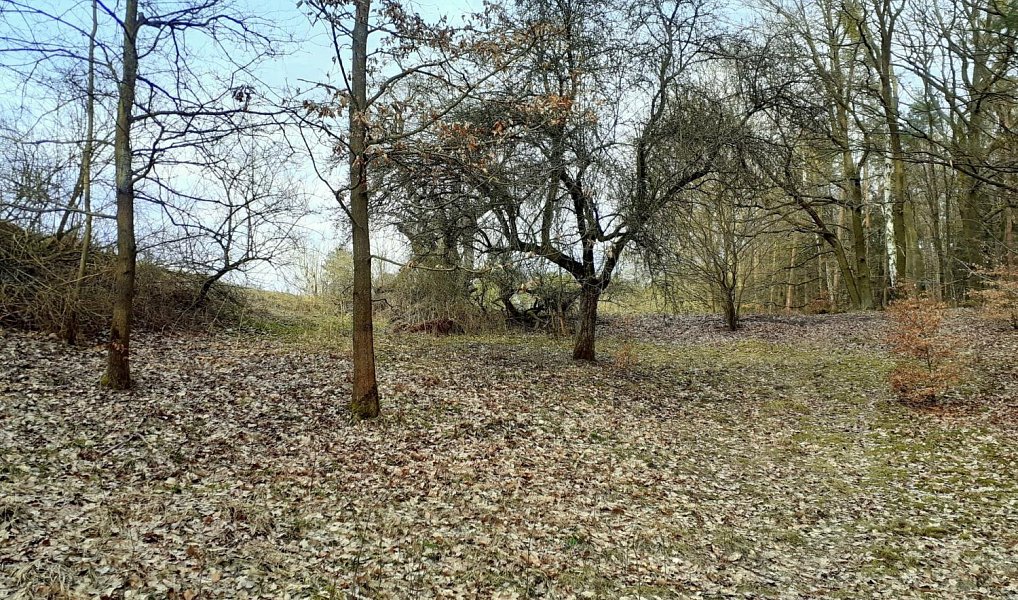 Prodej zahrady 1 453 m², Provodín – náhled fotky 3
