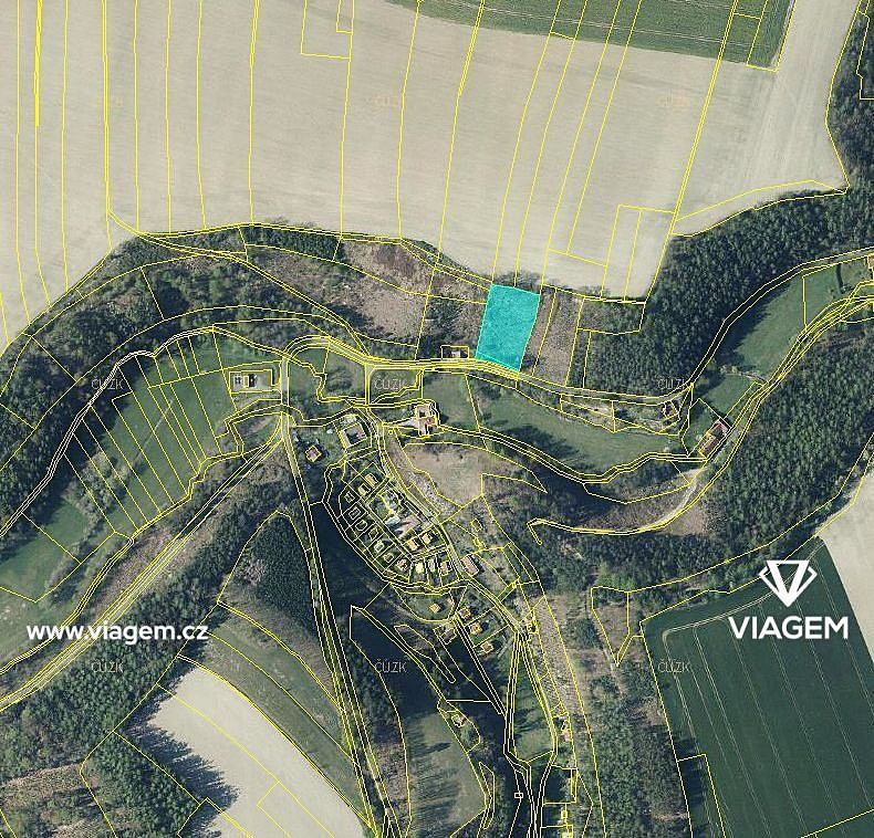 Prodej lesa 3 866 m² – pohled 2