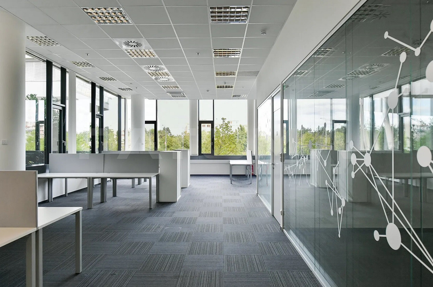 Fotka 19 z 20