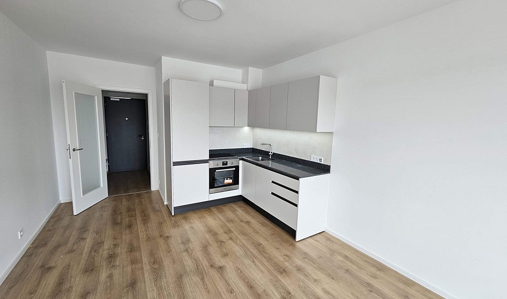 Pronájem bytu 1+kk 33 m², Brno – náhled fotky 5