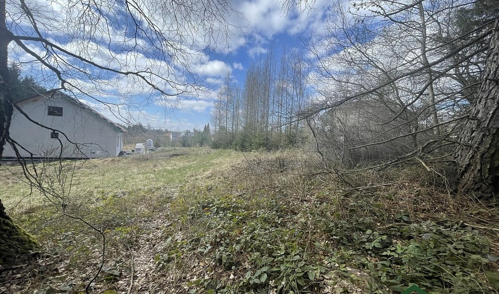 Prodej domu 90 m² s pozemkem 1 753 m², Gruna – náhled fotky 6