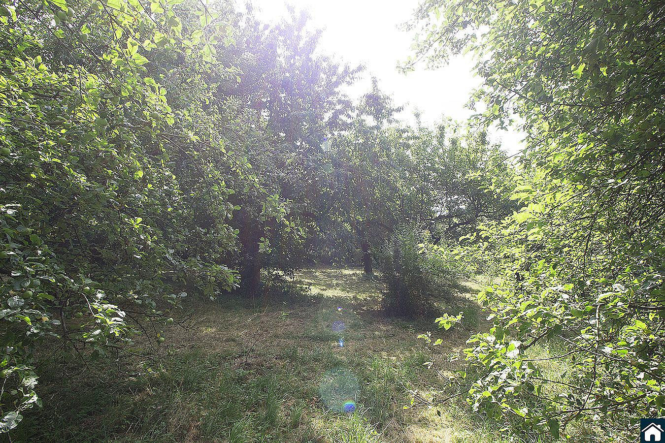 Prodej stavebního pozemku 2 233 m² – fotografie 5
