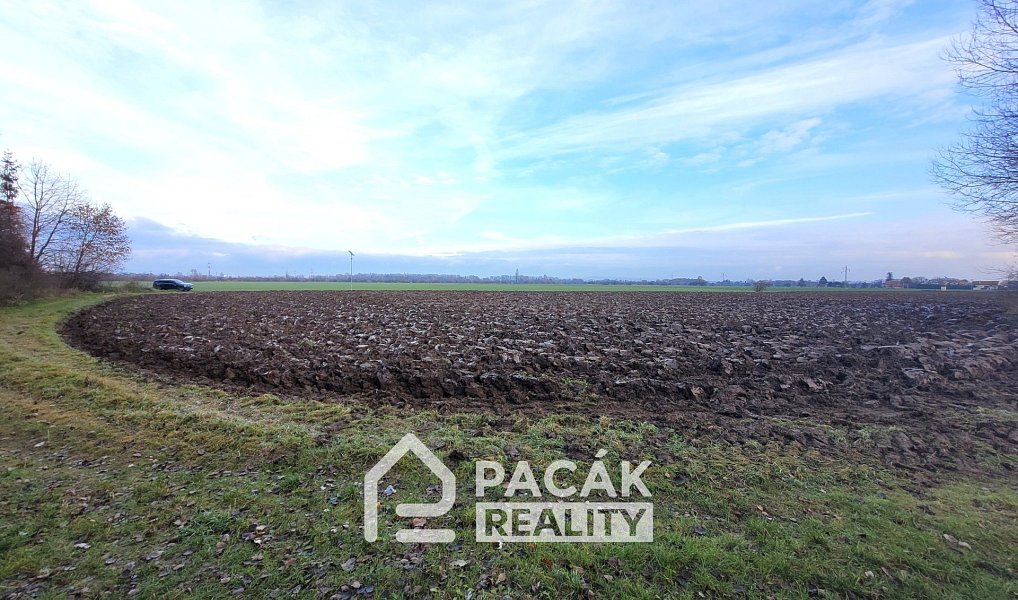Prodej pozemku 15 995 m², Kožušany-Tážaly – náhled fotky 10