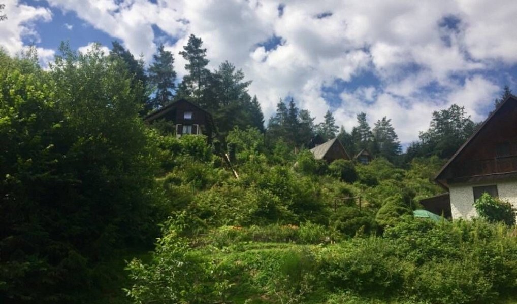 Prodej stavebního pozemku 3 004 m², Kaplice – náhled fotky 10