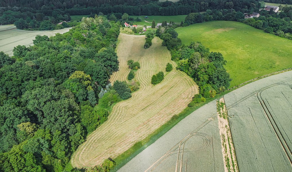 Prodej zemědělského objektu 132 m², Dubá – náhled fotky 9