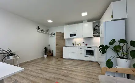 Pronájem bytu 2+kk 51 m²
