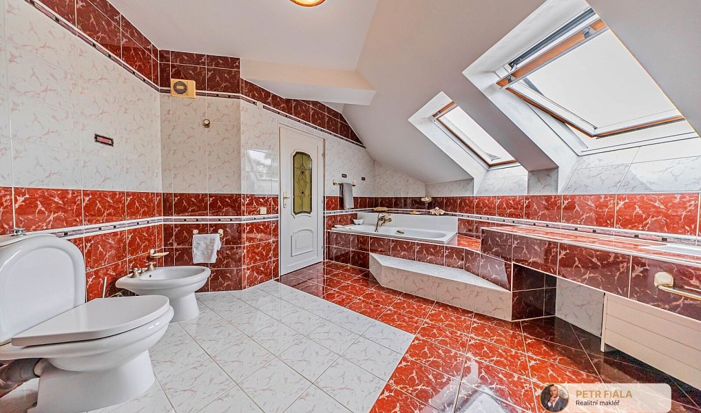 Prodej domu 305 m² s pozemkem 1 174 m², Plzeň – náhled fotky 24