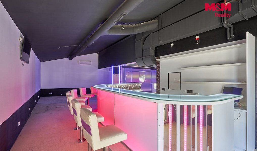 Pronájem obchodních prostor 365 m², Drslavice – náhled fotky 5
