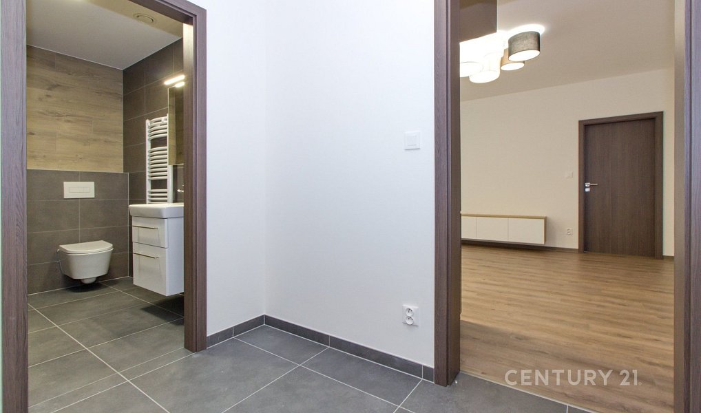 Pronájem bytu 2+kk 61 m², Plzeň – náhled fotky 14