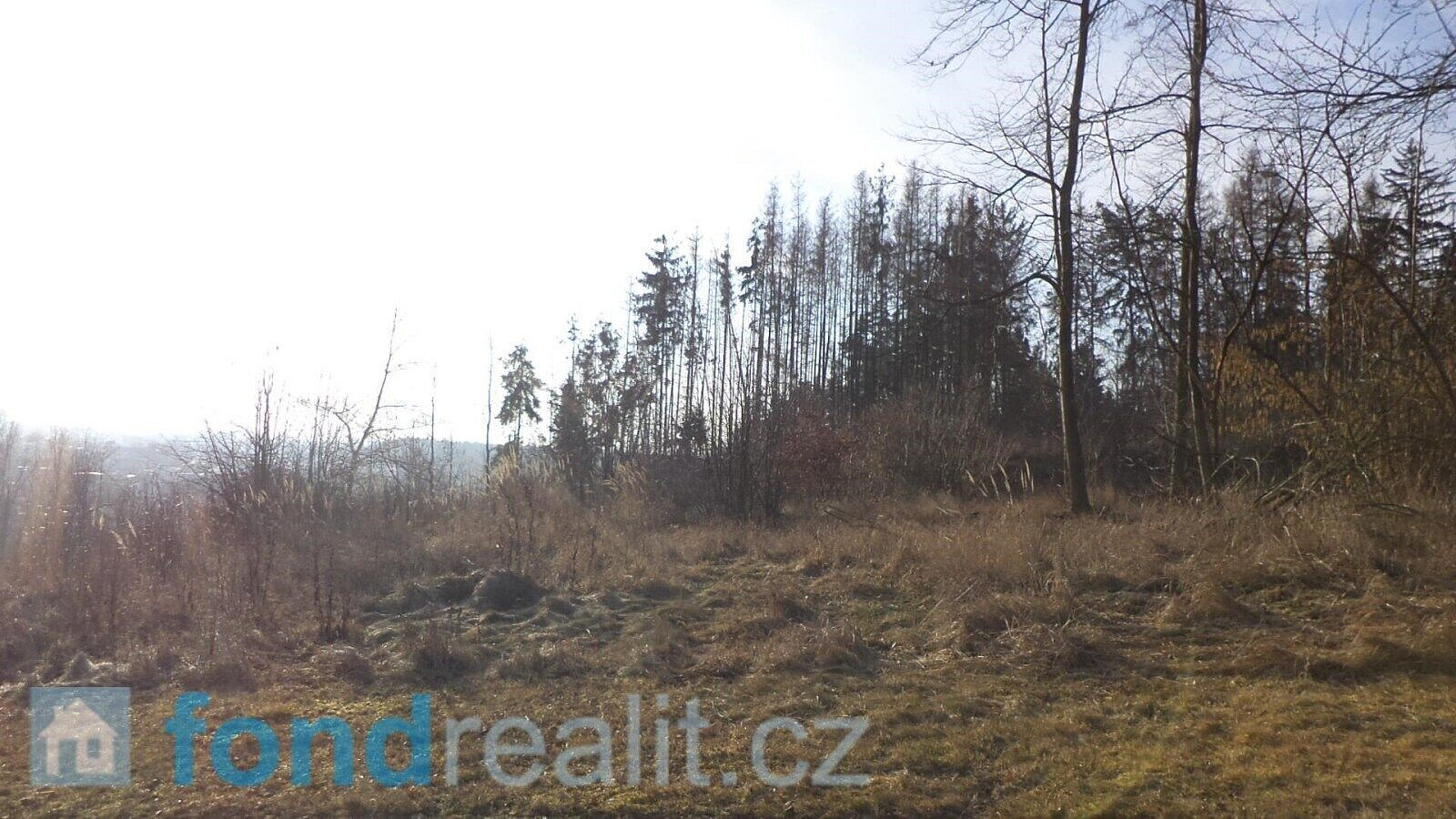 Prodej pozemku 1 595 m² – fotografie 4