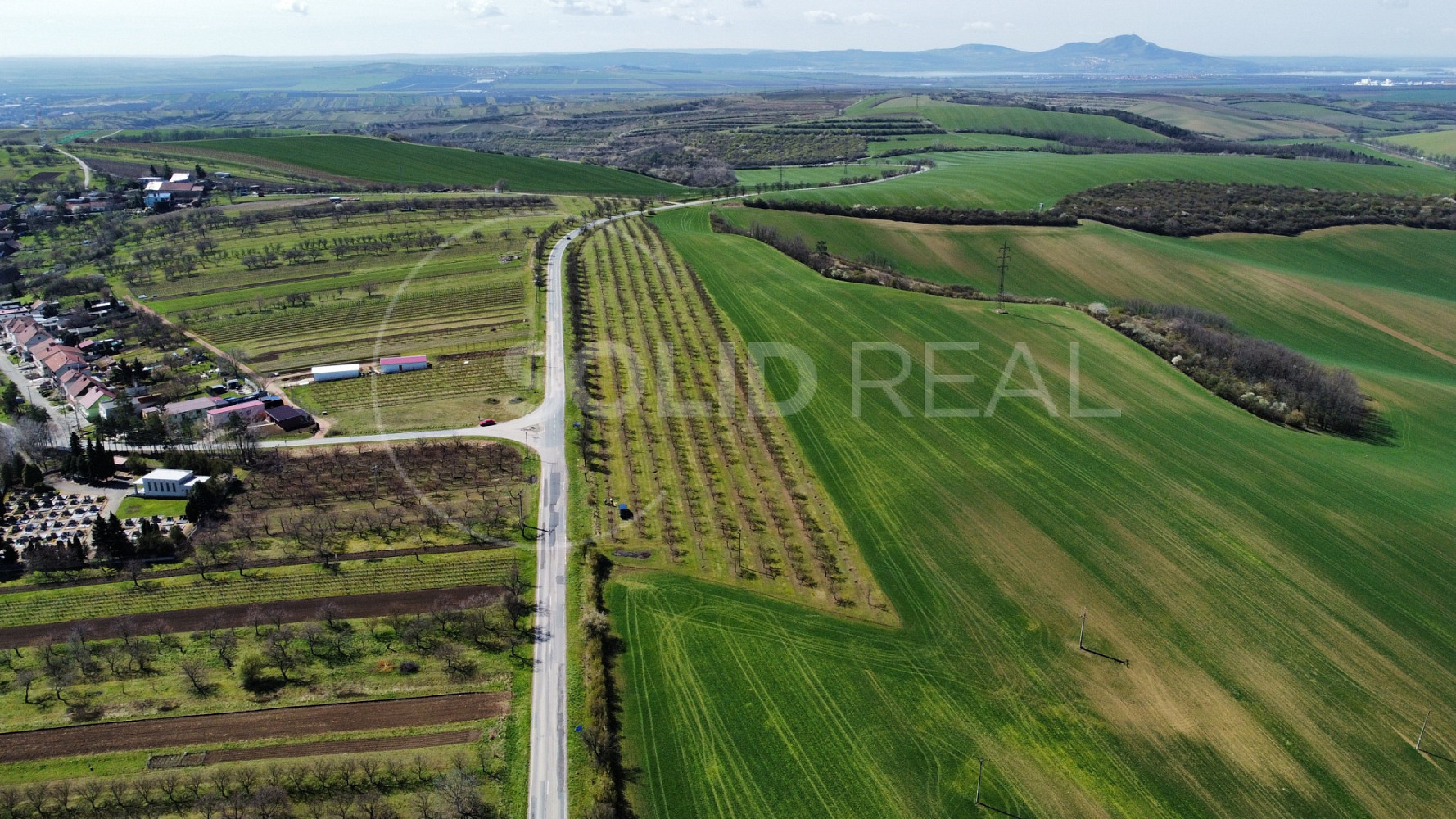 Prodej pole 24 643 m²