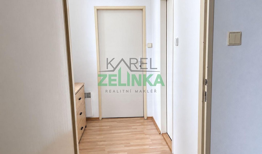 Pronájem bytu 1+1 40 m², Praha – náhled fotky 3