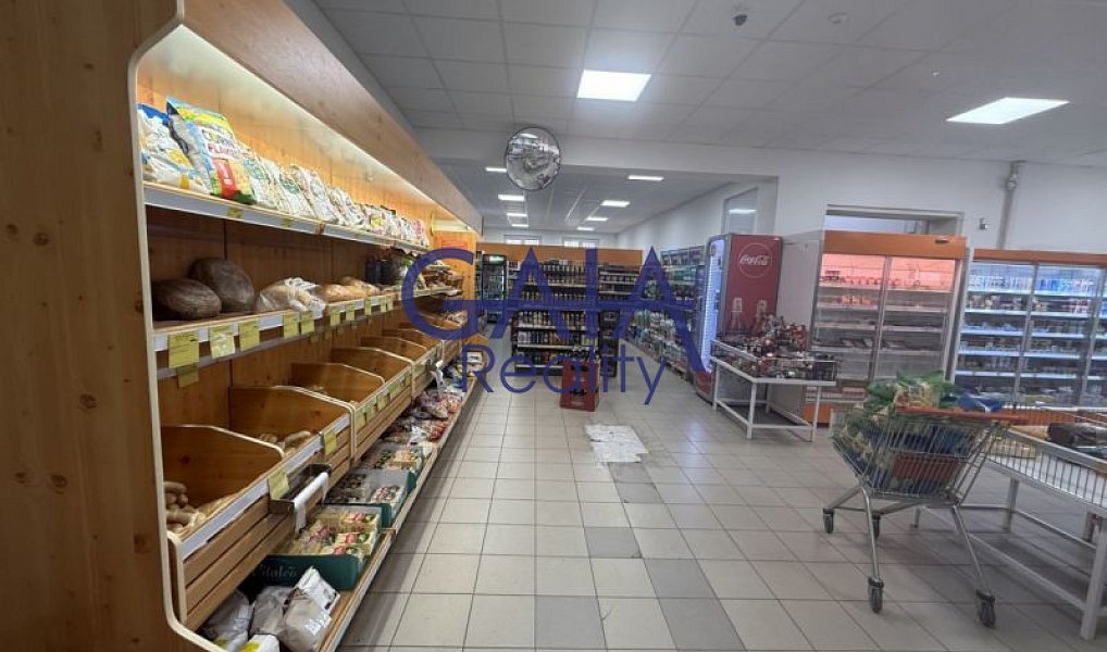 Prodej obchodních prostor 600 m², Dačice – náhled fotky 3