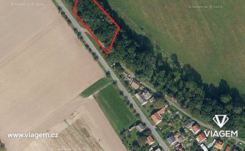 Prodej lesa 2 073 m², Zámrsk, okres Ústí nad Orlicí