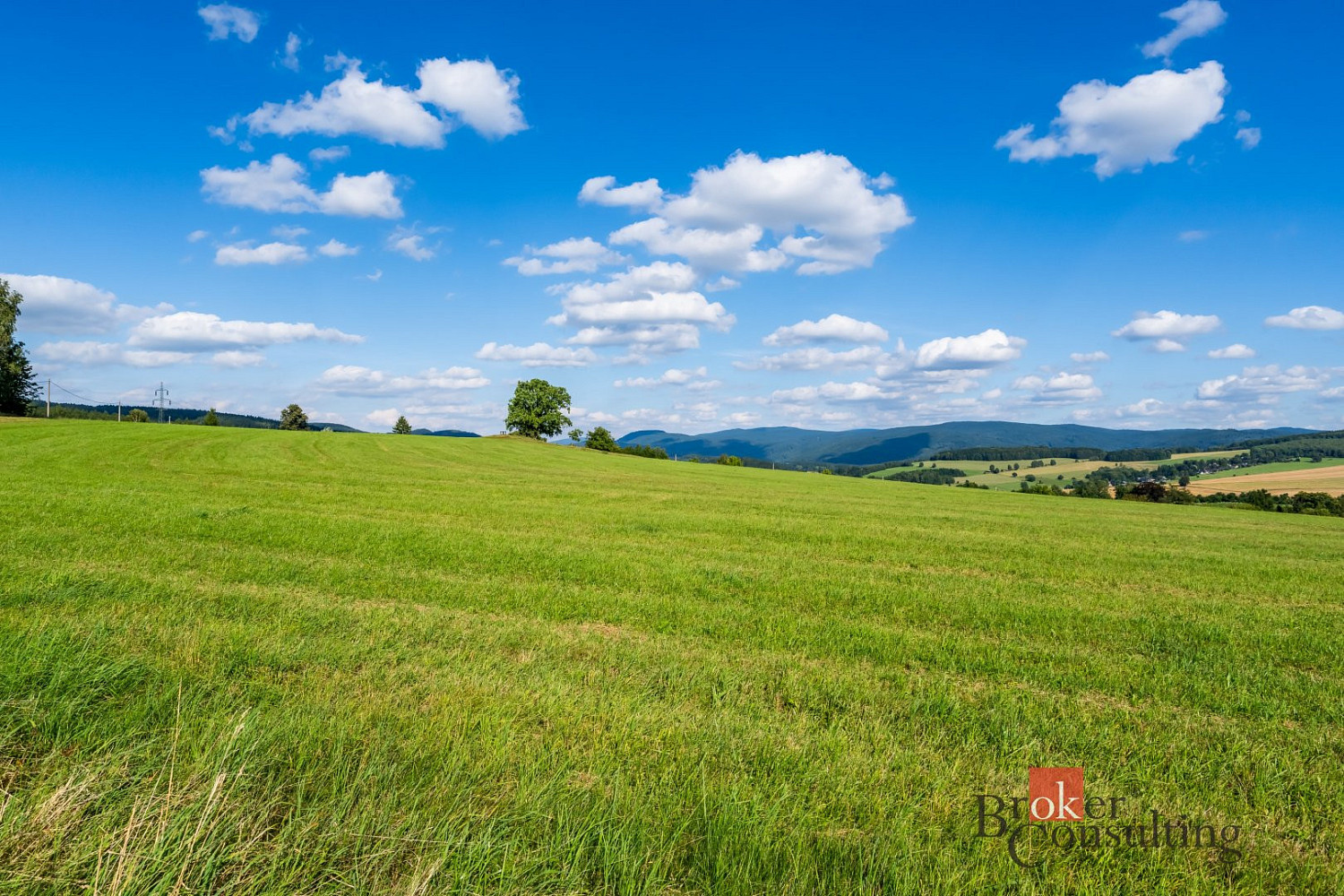Prodej pole 11 539 m² – další